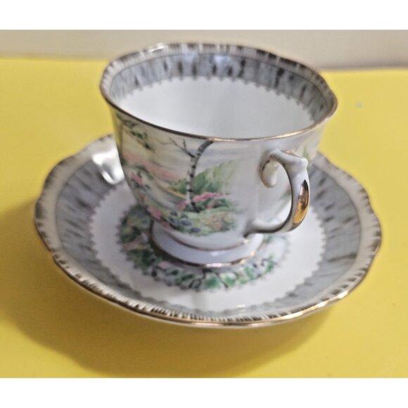 Vintage Royal Albert Silver Birch pattern Cup & Saucer Set - Picture 5 of 9
